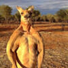 macs_racks